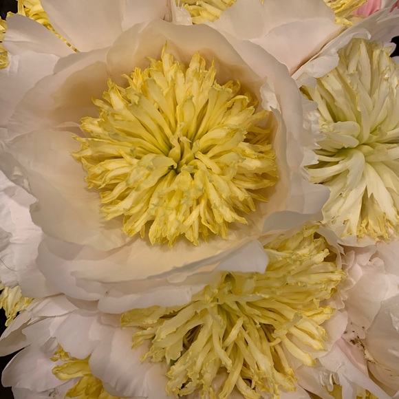 I’ll accept or counter every time! - Picture 2 of 2